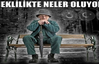 EMEKLİLİKTE NELER OLUYOR ?