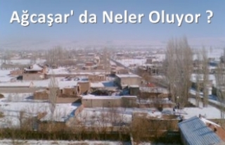 NİĞDE-AĞCAŞAR' DA NELER OLUYOR ?