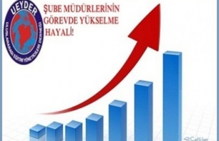 ŞUBE MÜDÜRLERİNİN GÖREVDE YÜKSELME HAYALİ 