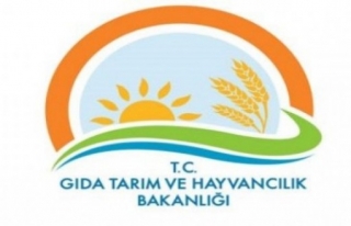 GIDA VE TARIM BAKANLIĞI 467 PERSONEL ALACAK. HANGİ...