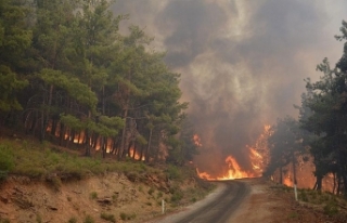 Bakan'dan Orman Yangınları Açıklaması