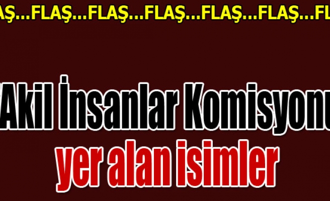 İŞTE AKİL İNSANLAR KOMİSYONUNDA YER ALAN İSİMLER 